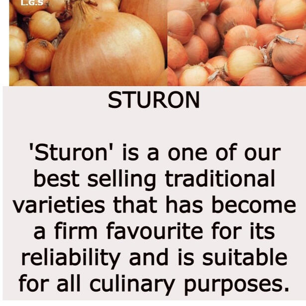 Sturon