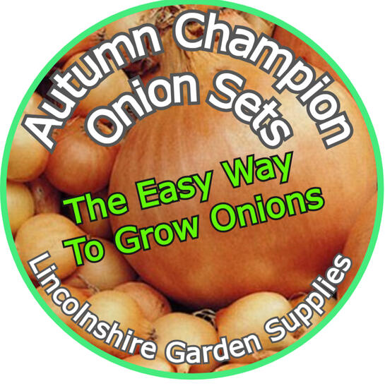 Autumn Champion Autumn Champion