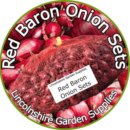 Red Baron Onion Sets