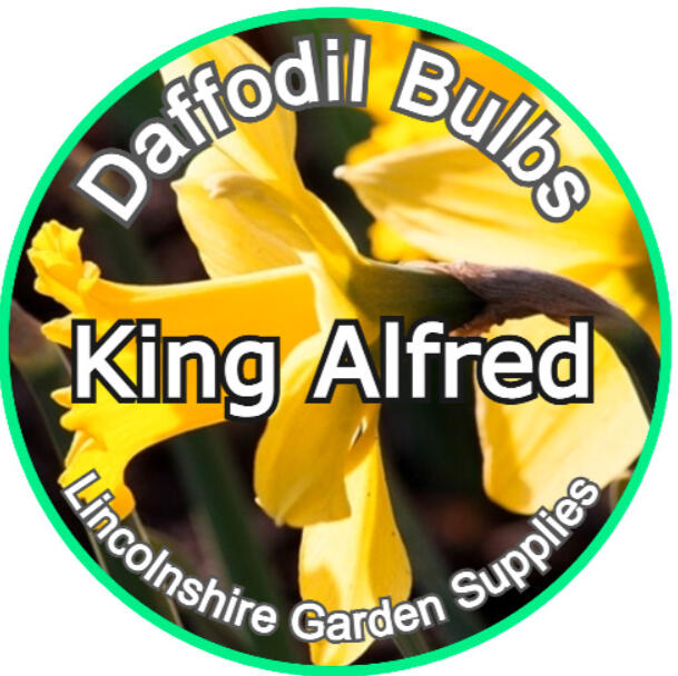 King Alfred King Alfred